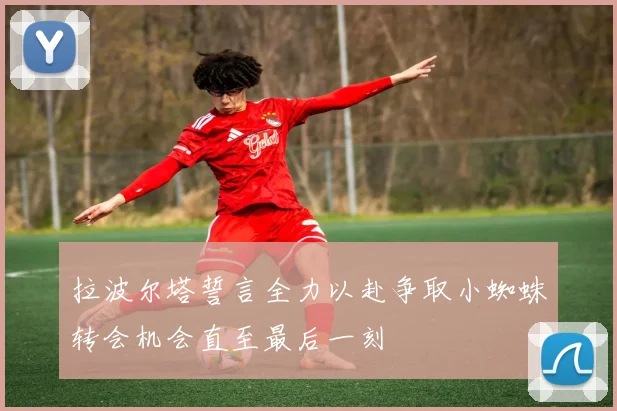 拉波尔塔誓言全力以赴争取小蜘蛛转会机会直至最后一刻