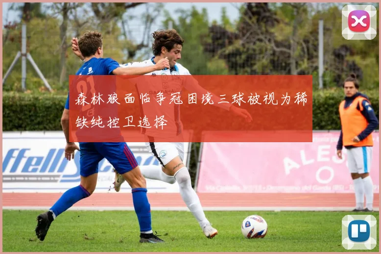 森林狼面临争冠困境三球被视为稀缺纯控卫选择